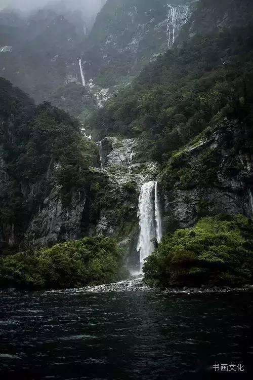 帕金森可以吃鳄鱼蛋吗
