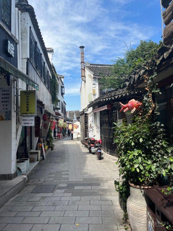 人类：一败涂地